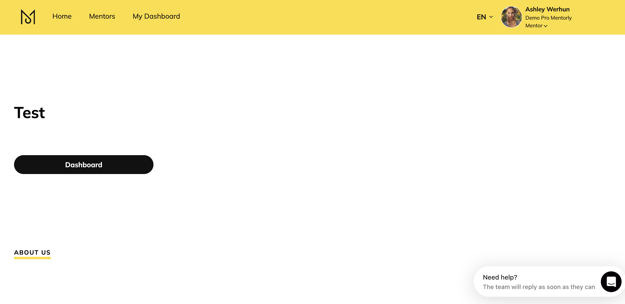 Mentorly mentorship platform - Demo dashboard screen with minimalist text
